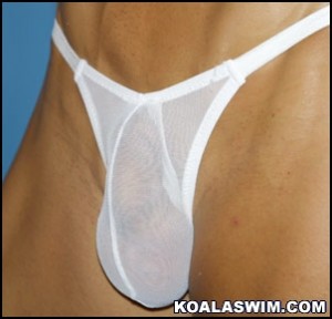 Sheer Pouch swimwear designs by koalaswim.com cock and anal gear